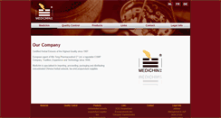 Desktop Screenshot of medichin.be